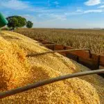produção agrícola