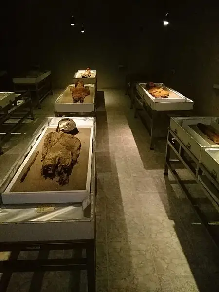 Múmias