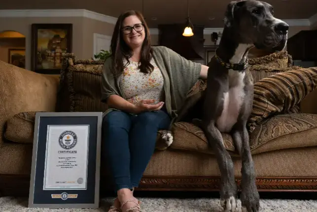 dog alemão