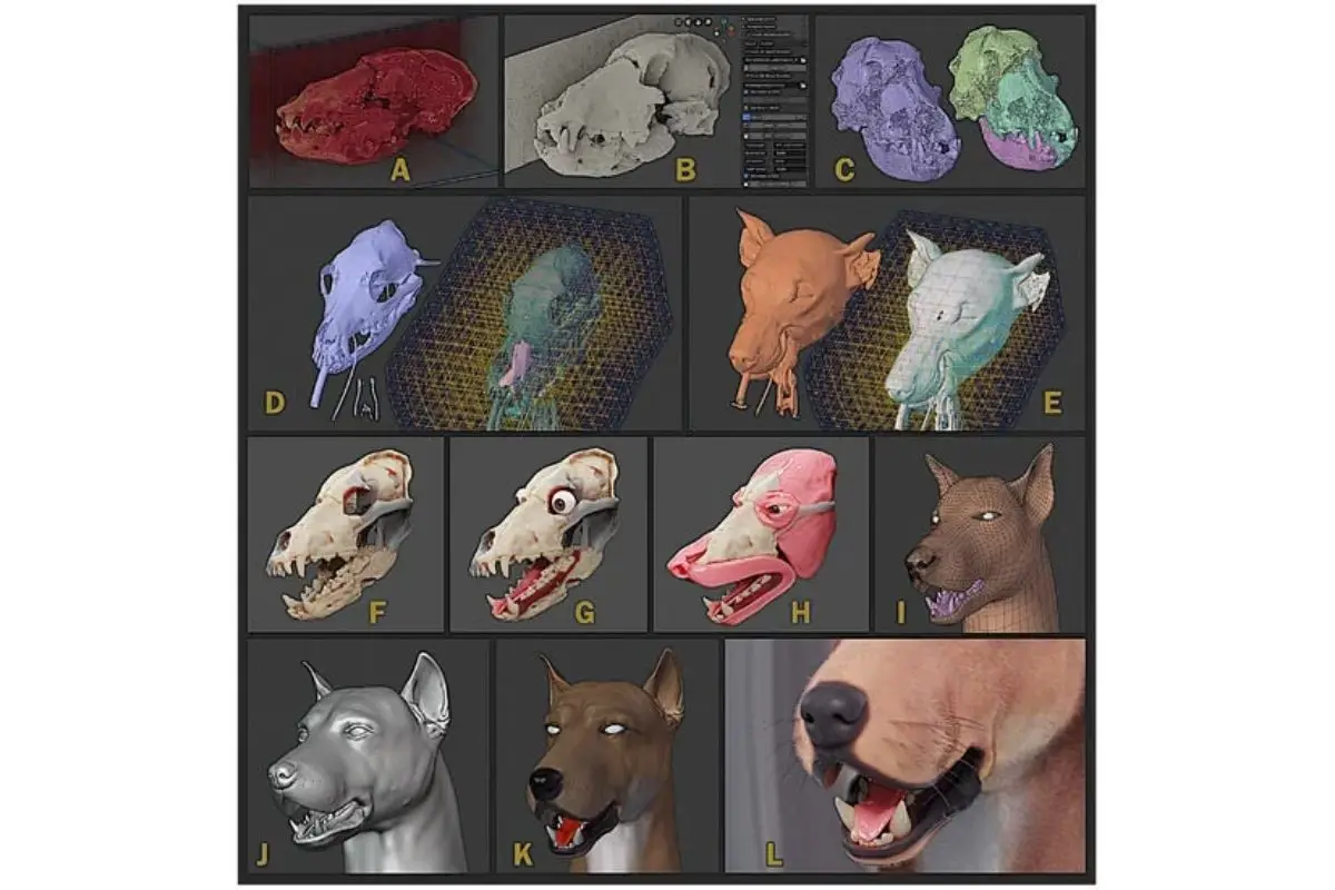 O designer Cícero Moraes foi o primeiro a reconstruir em 3D a face do animal