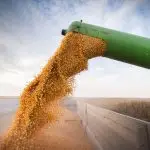 Agropecuária exportações janeiro