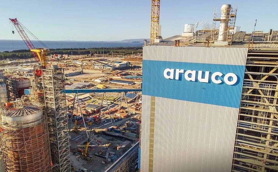 Arauco