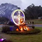 Bayer