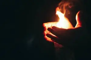 Fogo