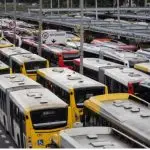 Greve