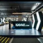 Kavak
