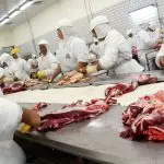 Exportação carnes