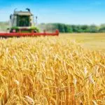 Agropecuária Bahia