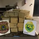 Tráfico de drogas é a fonte de renda do crime organizado