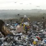 Extrema pobreza