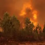 incêndios florestais