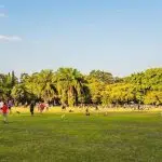 Parque do Ibirapuera, em São Paulo