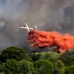 Incêndio no cerrado, entre as regiões francesas de Aubais e Gallargues-le-Montueux, em junho de 2022 | Foto: Shutterstock