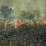 Brasil queimadas