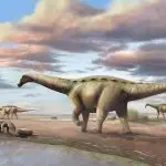 Dinossauro 'anão' São Paulo - fósseis dinossauro