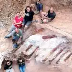 dinossauro