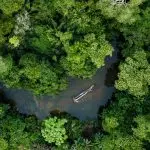 Fundo Amazônia