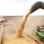 safra grãos brasil