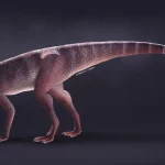 Fósseis dinossauros