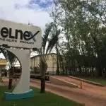 Gelnex