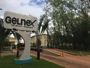 Gelnex
