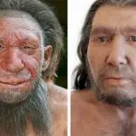 neandertais conviveram