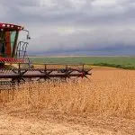Argentina Soja Brasil