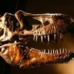 Tiranossauro Rex