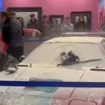 ambientalistas