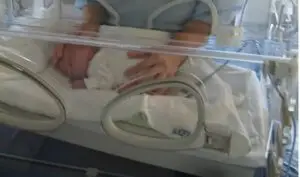 bebê