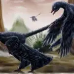 fóssil dinossauro comendo mamífero