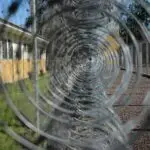preso usar celular