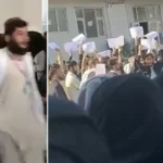 Talibã