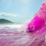cientistas água rosa