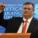Pacote antigolpe Dino