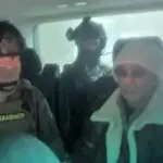 chefe máfia