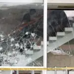 especialista terrorismo Brasília