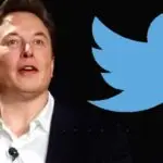 elon musk selo twitter