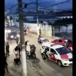 policiais