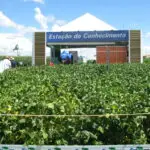Show Rural