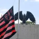 flamengo camisa 24