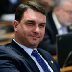 decreto armas