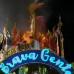 beija-flor