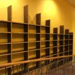 ícone literatura brasileira