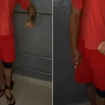 Jovem Fantasia Detento Preso