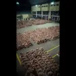 Megaprisão El Salvador