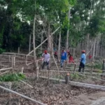 MST invade propriedades produtivas