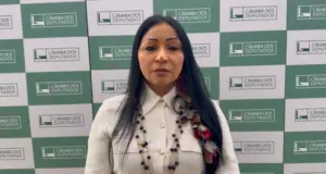 Silvia Waiãpi