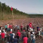 Deputado CPI MST
