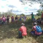 mst bahia
